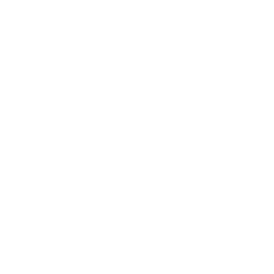 BiSM